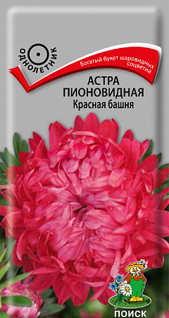 Семена астры Красная башня
