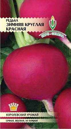 Семена редьки Зимняя Красная