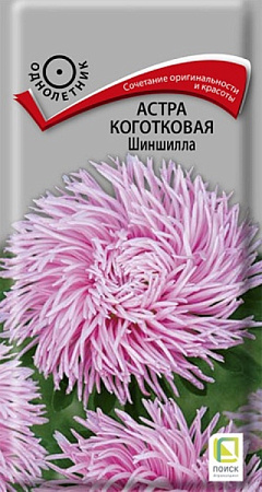 Семена астры Коготковая Шиншилла