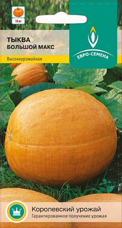 Семена тыквы Большой Макс