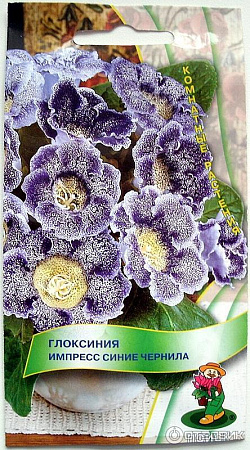 Семена глоксинии Импресс Синие Чернила