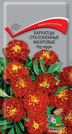 Семена бархатцев Ред Черри Поиск