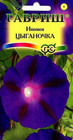 Семена ипомеи Цыганочка