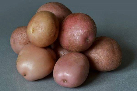 Картофель семенной Романо 1-ая репродукция