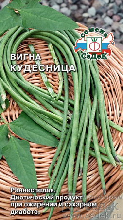Семена вигны Кудесница
