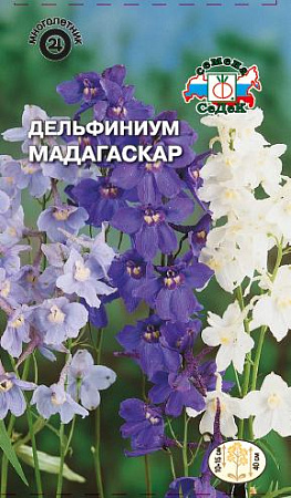 Семена дельфиниума Мадагаскар