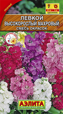 Семена левкоя Высокорослый махровый