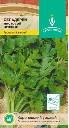 Семена сельдерея Нежный