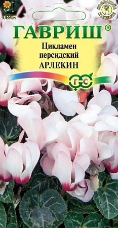 Семена цикламена Арлекин персид/3шт