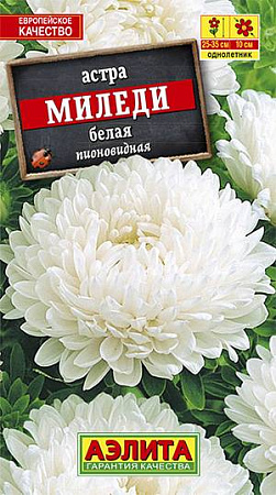 Семена астры Миледи белая