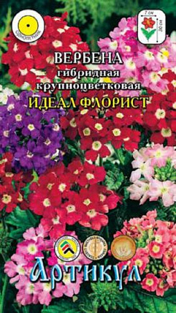 Семена вербены Идеал Флорист