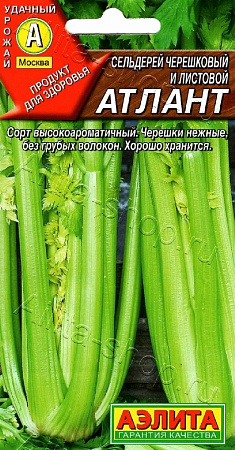 Семена Сельдерея Атлант черешковый 0,5г