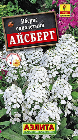 Семена ибериса Айсберг