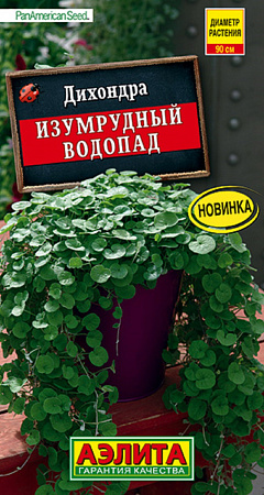 Семена дихондры Изумрудный водопад
