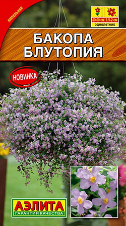 Семена бакопы Блутопия 