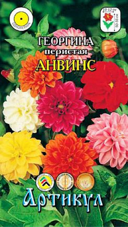 Семена георгины Перистая Анвинс