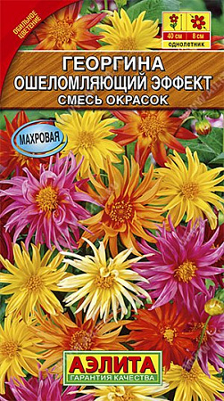 Семена георгины Ошеломляющий Эффект Семена георгины Ошеломляющий Эффект