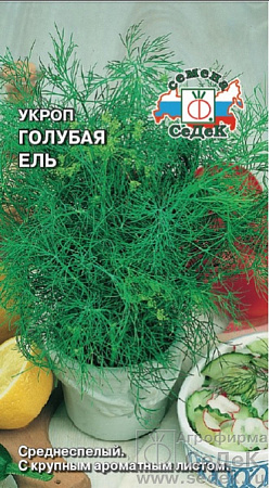 Семена укропа Голубая Ель