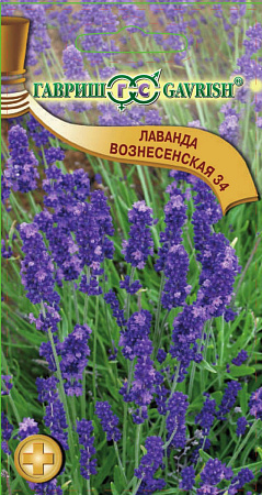 Семена лаванды Вознесенская