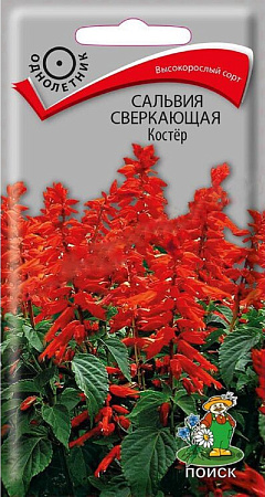 Семена сальвии сверкающей Костер 0,1г