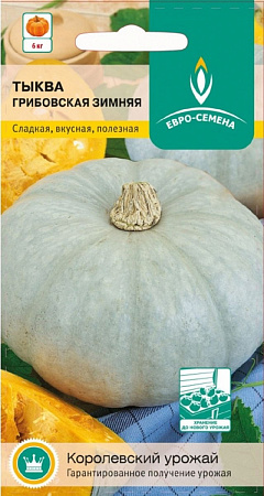 Семена тыквы Грибовская Зимняя