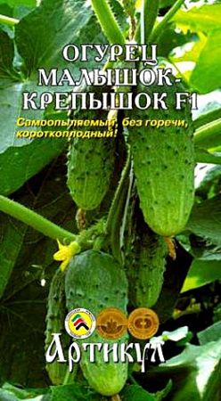 Семена огурца Малышок Крепышок