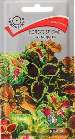 Семена колеуса Блюме Смесь Окрасок 0,1г