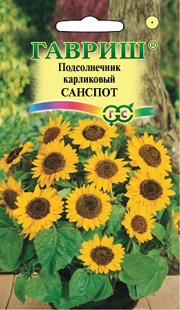 Семена подсолнечника Санспот