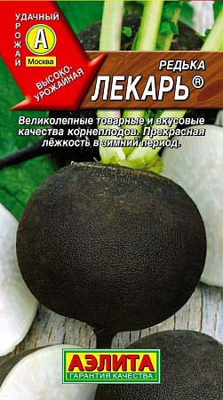 Семена редьки Лекарь