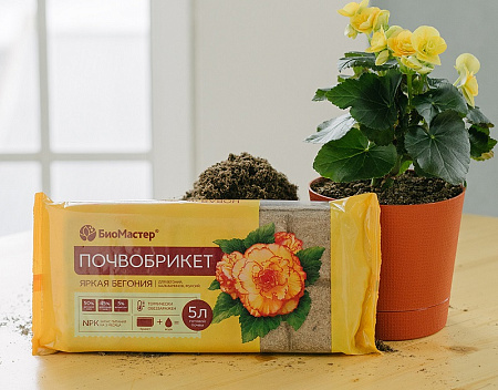 Почвобрикет Яркая бегония 5л /БиоМастер