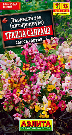 Семена львиного зева Текила Санрайз
