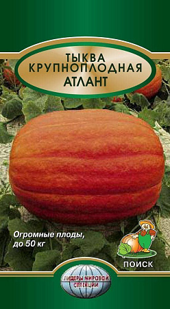 Семена тыквы Атлант 5шт