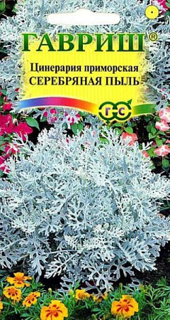 Семена цинерарии Серебрянная пыль 0,05г