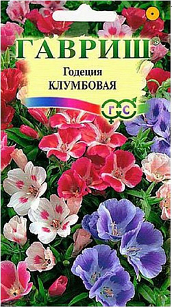 Семена годеции Клумбовая