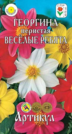 Семена георгины Веселые Ребята Семена георгины Веселые Ребята