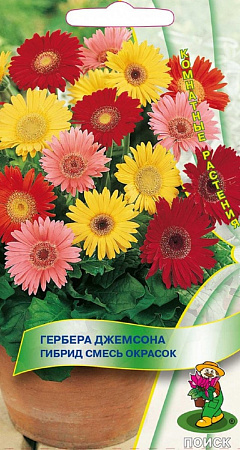 Семена герберы Джемсона смесь