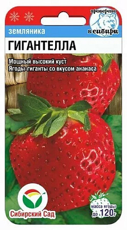 Семена клубники Гигантелла 10шт