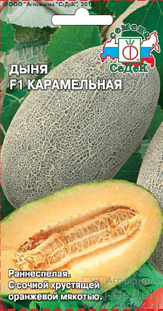 Семена дыни Карамельная F1