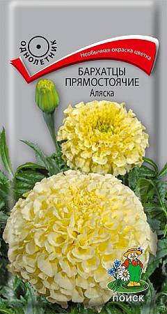 Семена бархатцев прямостоячие Аляска 0,4г