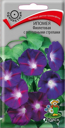 Семена ипомеи Фиолетовая с пурпурными стрелами