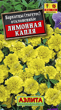 Семена бархатцев Лимонная капля 