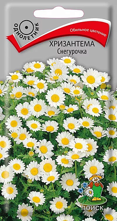 Семена хризантемы Снегурочка 30шт