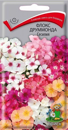 Семена флокса Друммонда Сесилия 0,3г/Поиск/