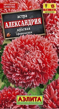 Семена астры Александрия красная