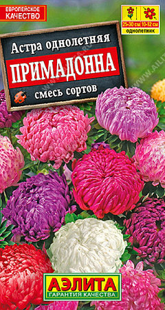 Семена астры Примадонна