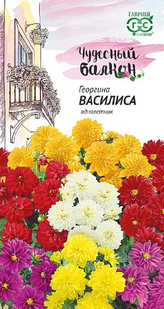 Семена георгины Василиса
