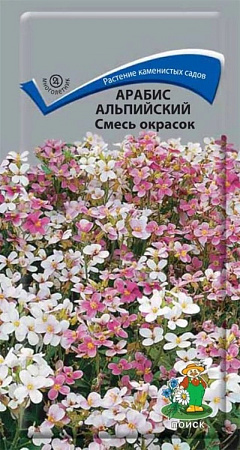 Семена арабиса Альпийский смесь окрасок