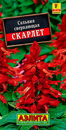 Семена сальвии Скарлет 0.1г