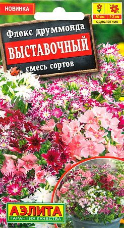 Семена флокса Выставочный 