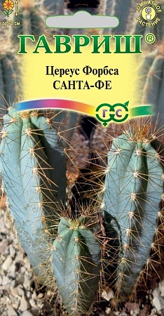 Семена цереус Форбса (Кактус) Санта-Фе 5шт